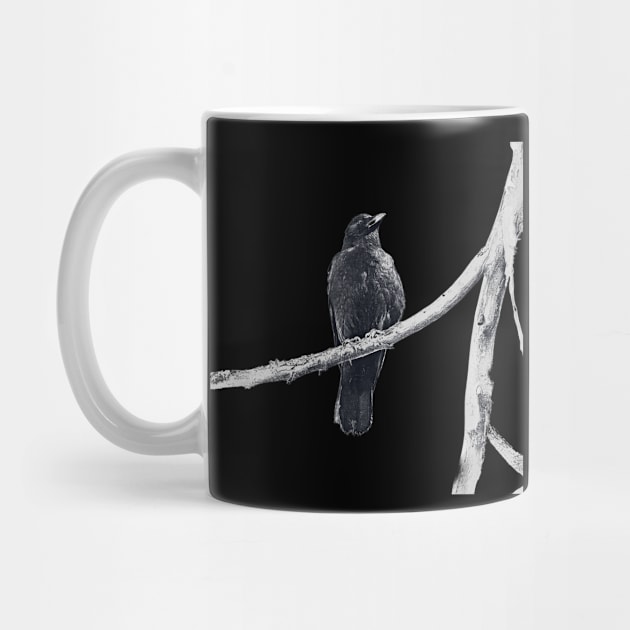 dark drawing of crow on a branch by Taya Johnston